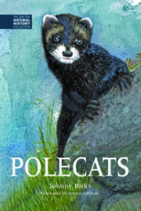Polecats, by Johnny Birks