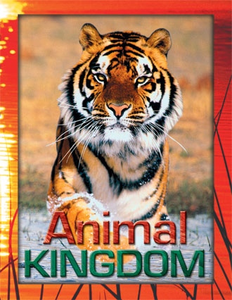 Animal Kingdom £17.99