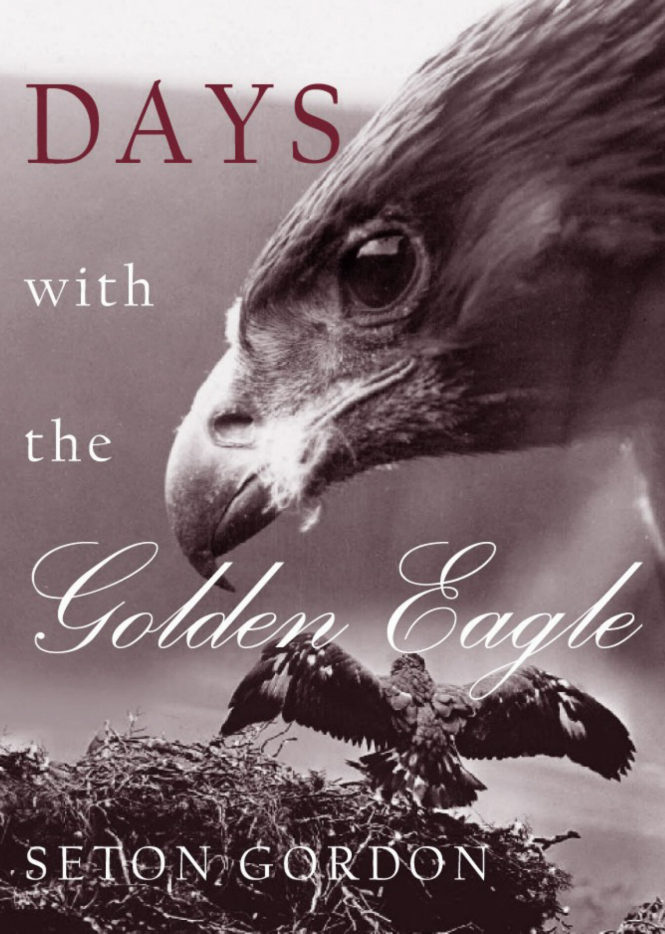 Days with the Golden Eagle, Seton Gordon