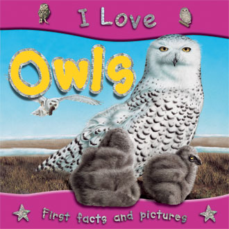 I Love Owls