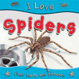 I Love Spiders