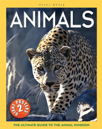 POSTER BOOK: Animals £17.99