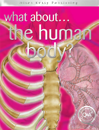 What about... the human body?