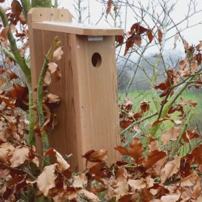 20m Wired Colour Starling Nestbox Camera System Ultra High Res