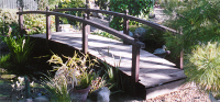 Bridge 11 - 10ft (3.04m) curved bridge with low handrails to avoid over-dominating the pond - stained Dark Oak. Finials (ball design) above each post. All components normally kept in stock.
				  £679