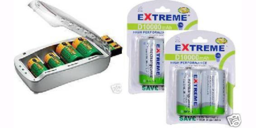 Extreme 10000mAh NiMh D Battery x4 with charger