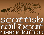 Scottish Wildcat Association