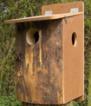 Squirrel Nestbox