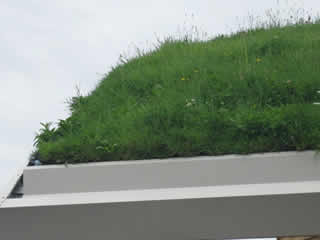 Green Roof Barge Board