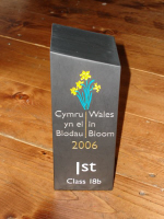 Welsh Slate Award